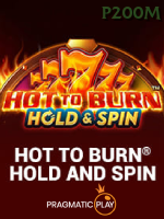 Hot To Burn Hold And Spin game cover